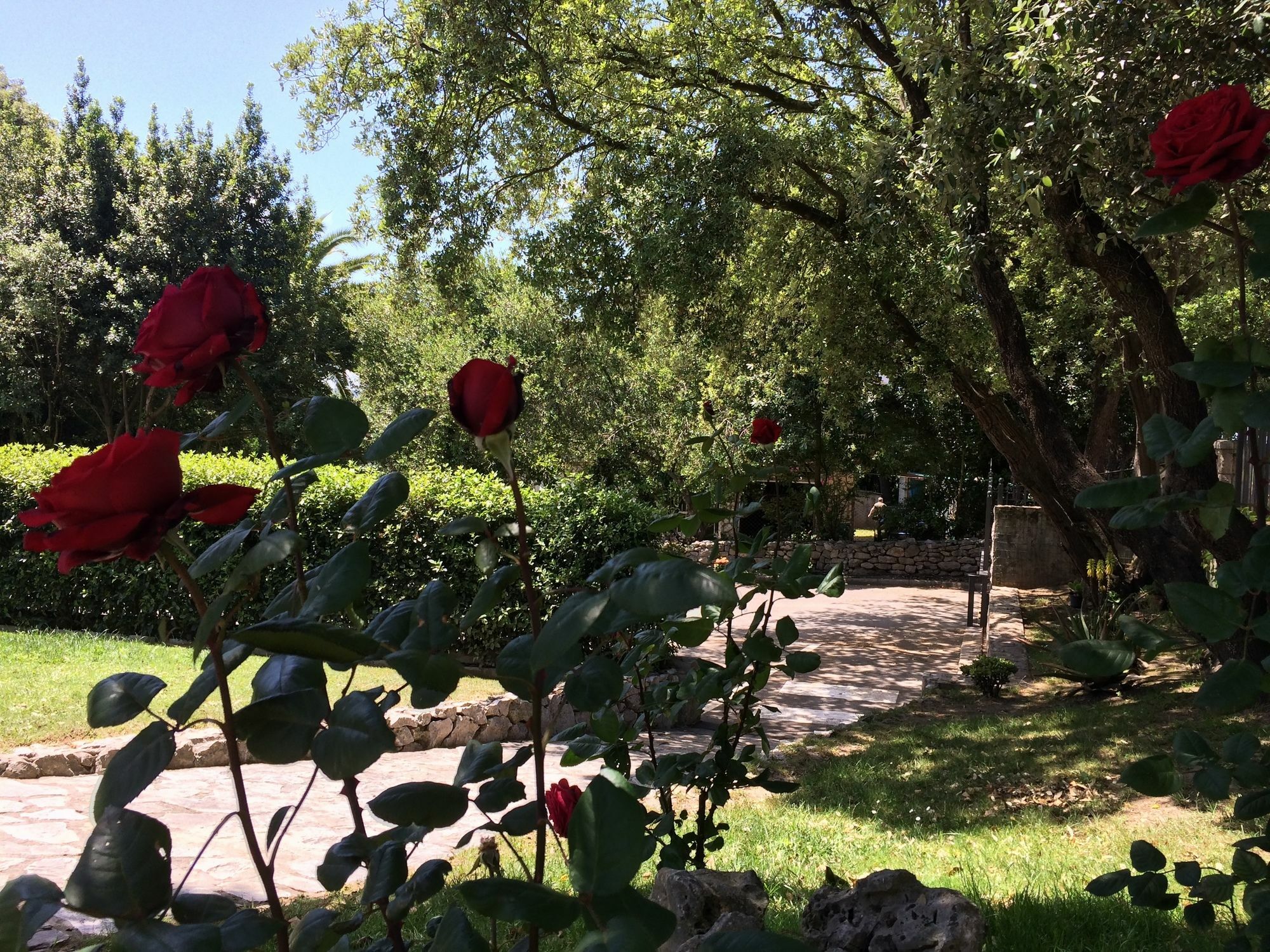 La Robleda (adults Only) Arnuero
